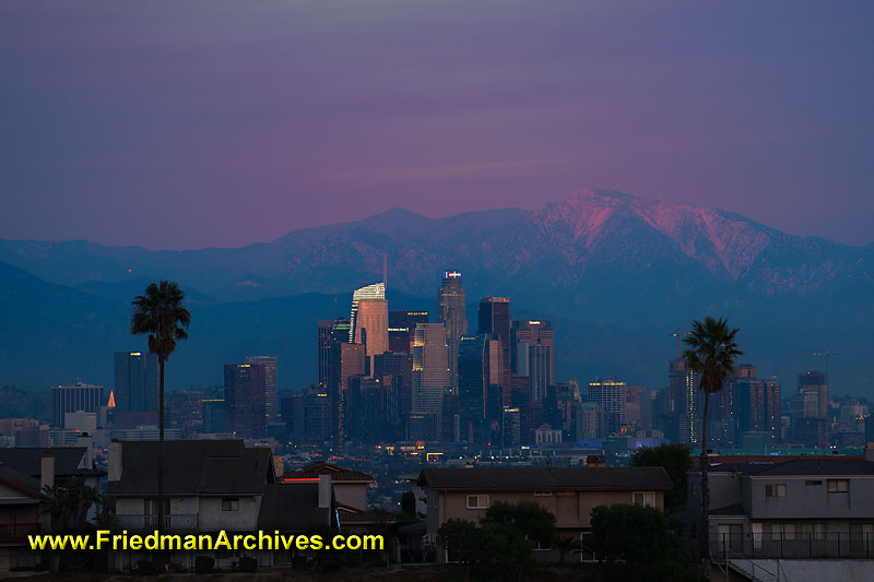 skyline,city,metropolis,sunset,pink,sky,sunset,palm trees,buildings,skyscrapers,beautiful,downtown,L.A.,Los Angeles,